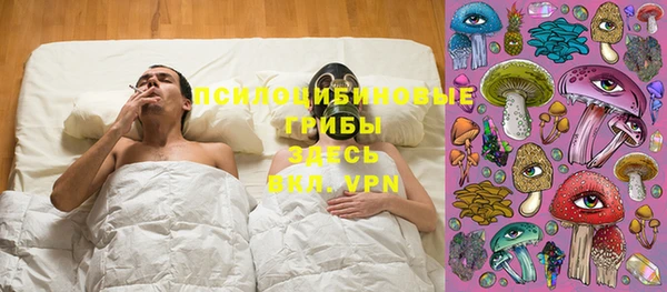 винт Бронницы