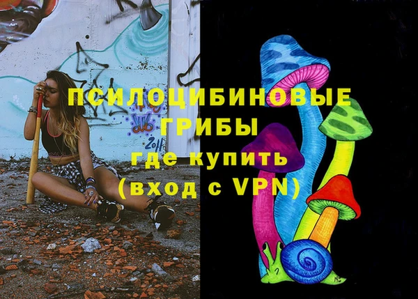 винт Бронницы