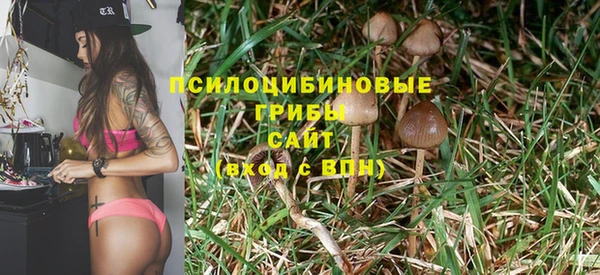 винт Бронницы