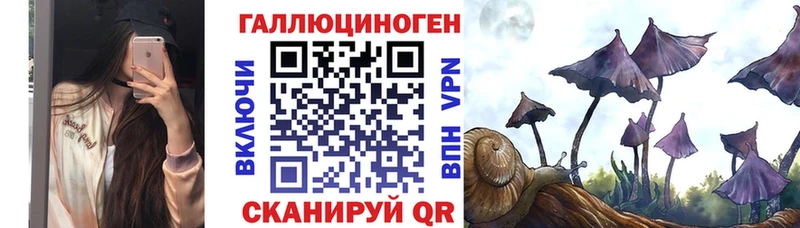 блэк спрут онион  Санкт-Петербург  Галлюциногенные грибы GOLDEN TEACHER  купить наркоту 